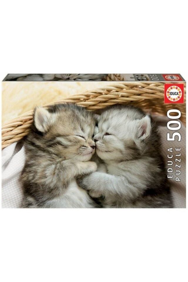 -Puz.500 Dolces Gatitos