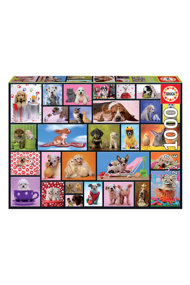 Puzzle 1000 Parça Shared Moment 15518